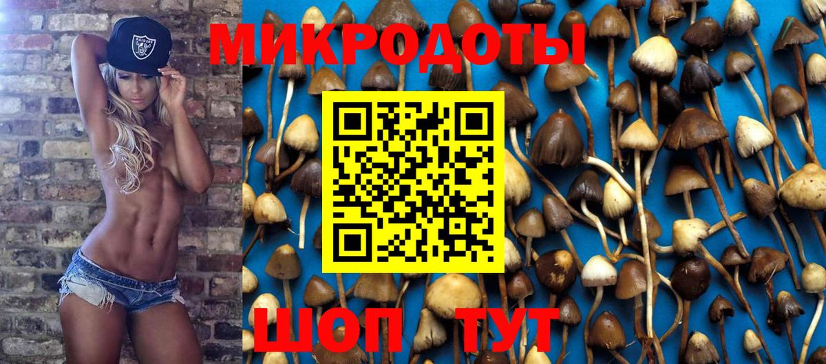 Псилоцибиновые грибы Psilocybine cubensis Новочеркасск