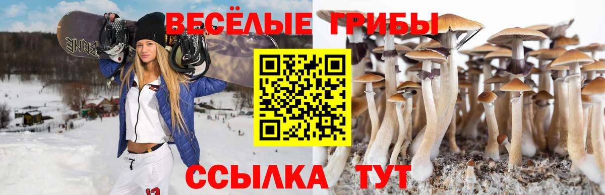 Галлюциногенные грибы ЛСД  дарнет шоп  Новочеркасск  Вход с VPN 